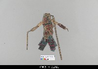 藏品(中國湖北皮影戲偶身)的圖片